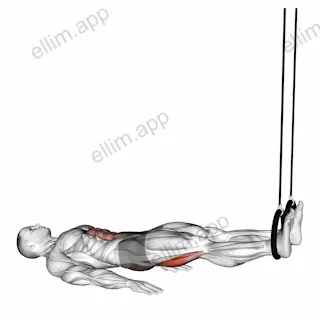 Ring Leg Curl exercise targeting Thighs