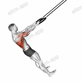 Ring Pullover exercise targeting Back