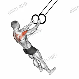Ring Reverse Fly exercise targeting Shoulders