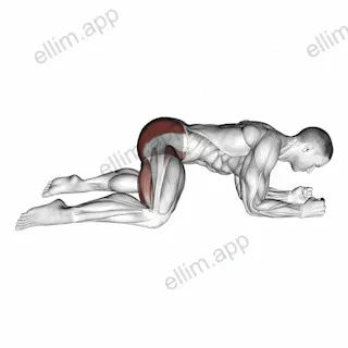 Rocking Frog Stretch exercise targeting Hips and Gluteus Maximus