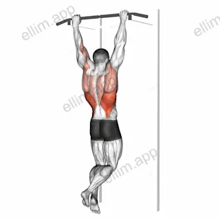 Rocky Pull Up Pulldown exercise targeting Back