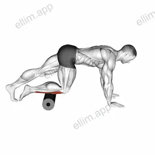 Roll Anterior Calf Foam Rolling exercise targeting Calves