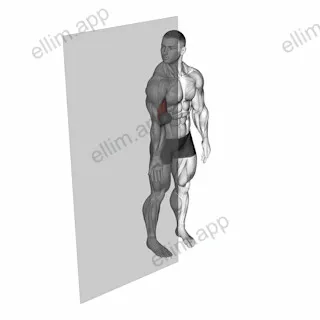 Roll Ball Bicep Brachii exercise targeting Upper Arms