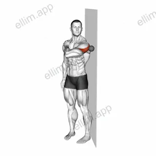 Roll Ball Deltoid Posterior exercise targeting Shoulders and Deltoid Posterior