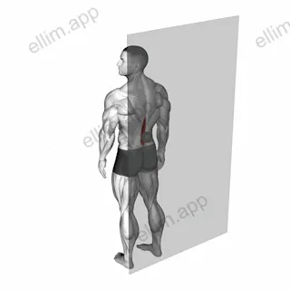 Roll Ball Erector Spinae exercise targeting Hips