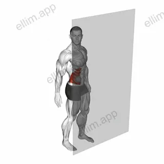Roll Ball External Oblique exercise targeting Waist