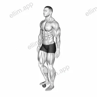 Roll Ball Foot exercise targeting Calves