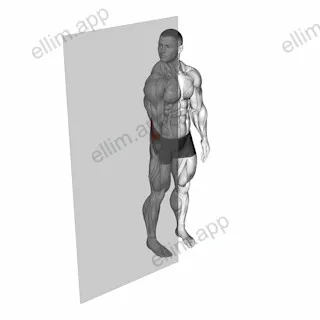 Roll Ball Forearm Extensors exercise targeting Forearms