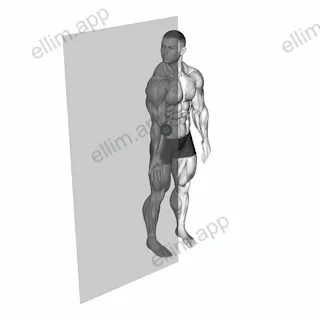 Roll Ball Forearm Pronator exercise targeting Forearms