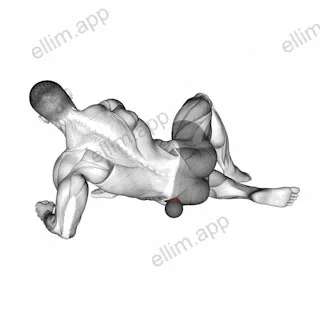Roll Ball Gluteus Medius exercise targeting Hips