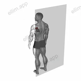 Roll Ball Infraspinatus exercise targeting Back