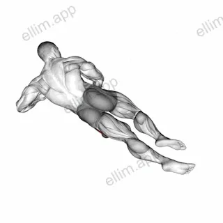 Roll Ball Lateral Vastus exercise targeting Thighs