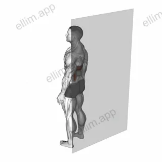 Roll Ball Latissimus Dorsi exercise targeting Back
