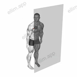 Roll Ball Pectoralis Major - Clavicular exercise targeting Chest