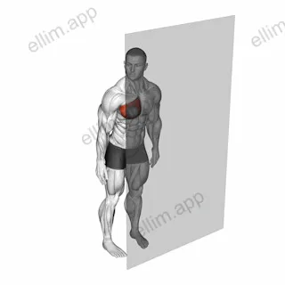 Roll Ball Pectoralis Major - Sternal exercise targeting Chest