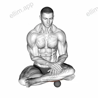 Roll Ball Peroneus exercise targeting Calves