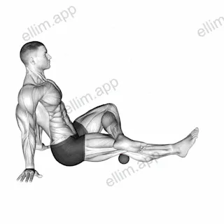 Roll Ball Popliteal exercise targeting Thighs