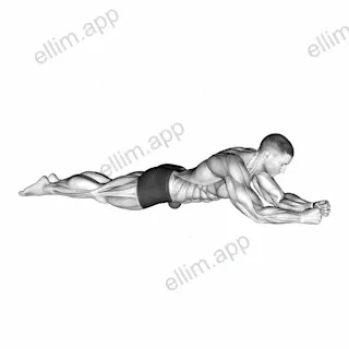 Roll Ball Psoas - Abdominal Region exercise targeting Hips