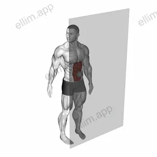 Roll Ball Rectus Abdominis exercise targeting Waist