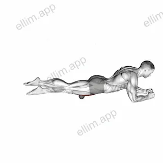 Roll Ball Rectus Femoris exercise targeting Thighs