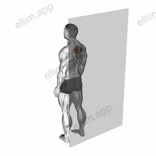 Roll Ball Rhomboid exercise targeting Back