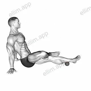 Roll Ball Tibialis Posterior exercise targeting Calves