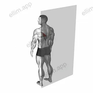 Roll Ball Trapezius Lower exercise targeting Back