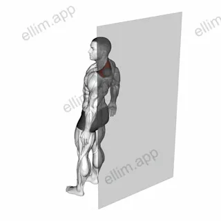 Roll Ball Trapezius Upper exercise targeting Back