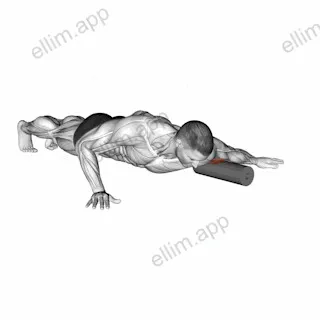 Roll Biceps Lying on Floor exercise targeting Upper Arms