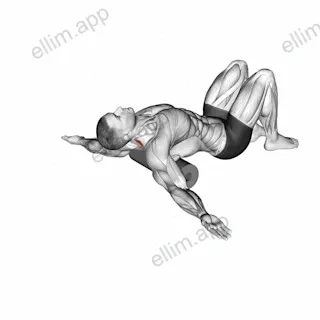 Roll Erector Spinae Lying on Floor exercise targeting Hips