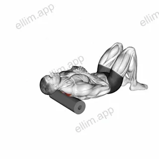 Roll Middle Back Lying on Floor exercise targeting Back