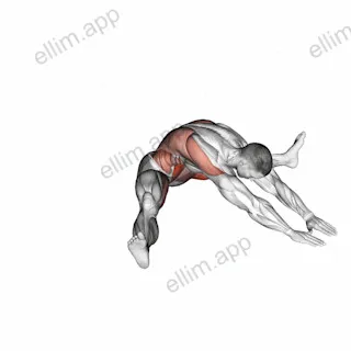 Roll-overs into V-sits exercise targeting Hips