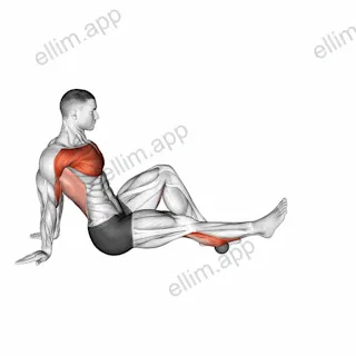 Rollball Seated Single Leg Shoulder Flexor Depresor Retractor exercise targeting Chest