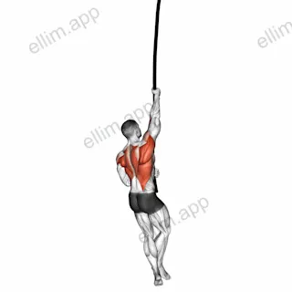 Rope Climb exercise targeting Back and Infraspinatus