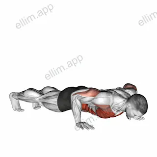 Rotational Push Up exercise targeting Chest and Waist