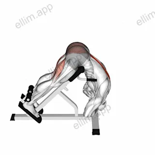 Rounded Back Extension exercise targeting Hips