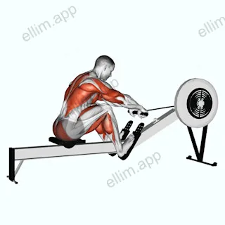 Rowing (with rowing machine) exercise targeting Cardio