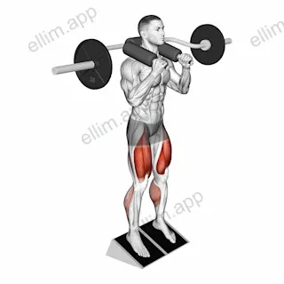 Safety Bar Elevated Heel Squat exercise targeting Thighs