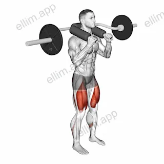Safety Bar Front Squat exercise targeting Thighs