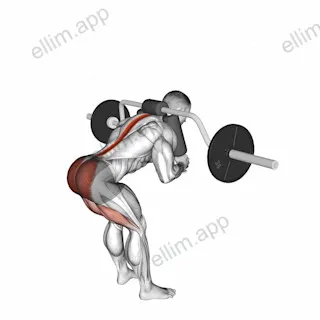 Safety Bar Good Morning exercise targeting Hips