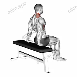 Scapula Dips exercise targeting Back and Levator Scapulae