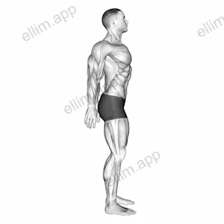 Scapula Retraction Protraction exercise targeting Back