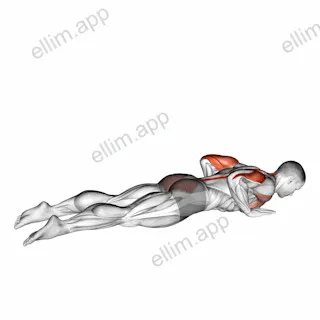 Seal Push up exercise targeting Back