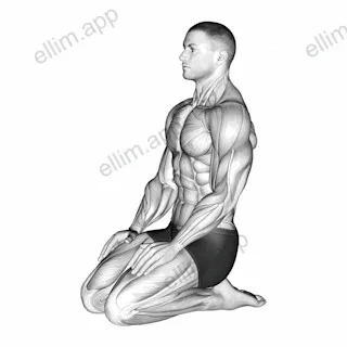 Seated Ankle Stretch exercise targeting Calves and Tibialis Anterior