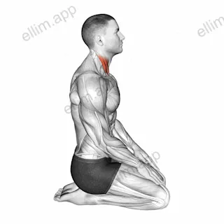 Seated Chin Tuck exercise targeting Neck