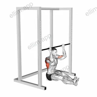 Seated Chin up (low bar position) exercise targeting Back