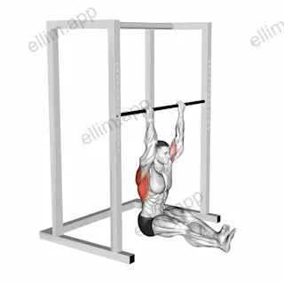 Seated Chin up exercise targeting Back