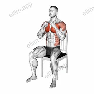 Seated Cross Body Punch on a Chair exercise targeting Chest