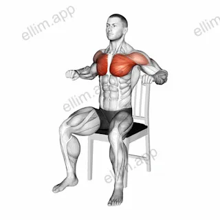 Seated Decline Chest Press on a Chair exercise targeting Chest