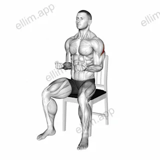 Seated External Rotation on a Chair exercise targeting Back